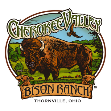 Cherokee Valley Bison Ranch Thornville Ohio bison standing in green pasture with hawk flying overhead