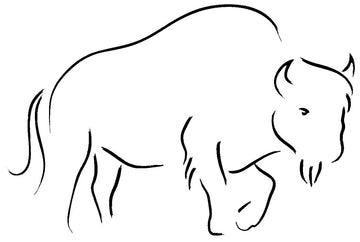 Line drawing of a Bull Bison