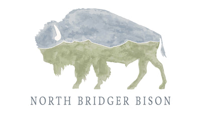 North Bridger Bison - WILSALL, MT
