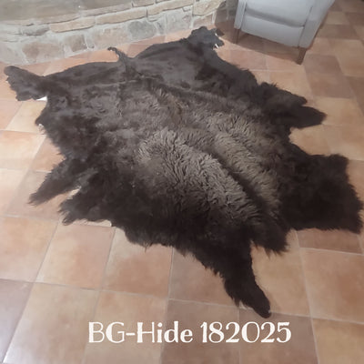 Bison (Buffalo) Hide / Robes