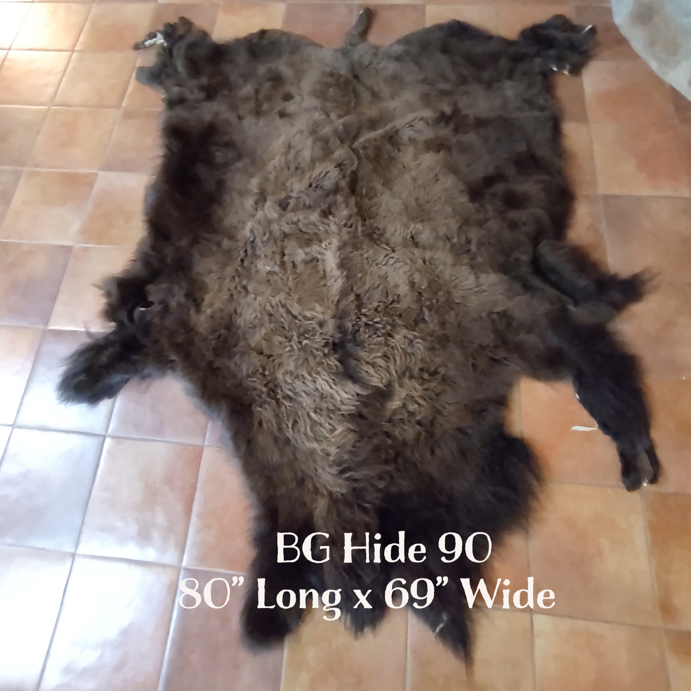 Bison (Buffalo) Hide / Robes