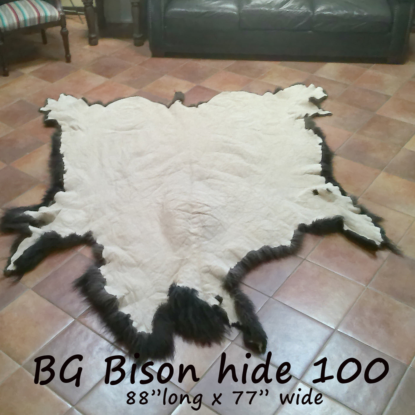 Bison (Buffalo) Hide / Robes