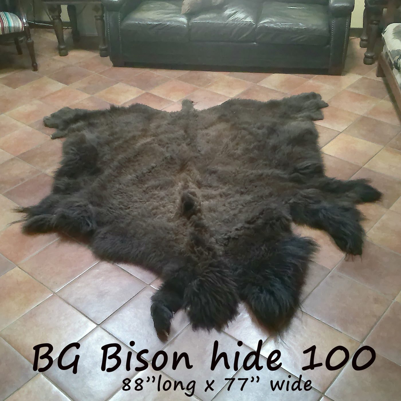 Bison (Buffalo) Hide / Robes