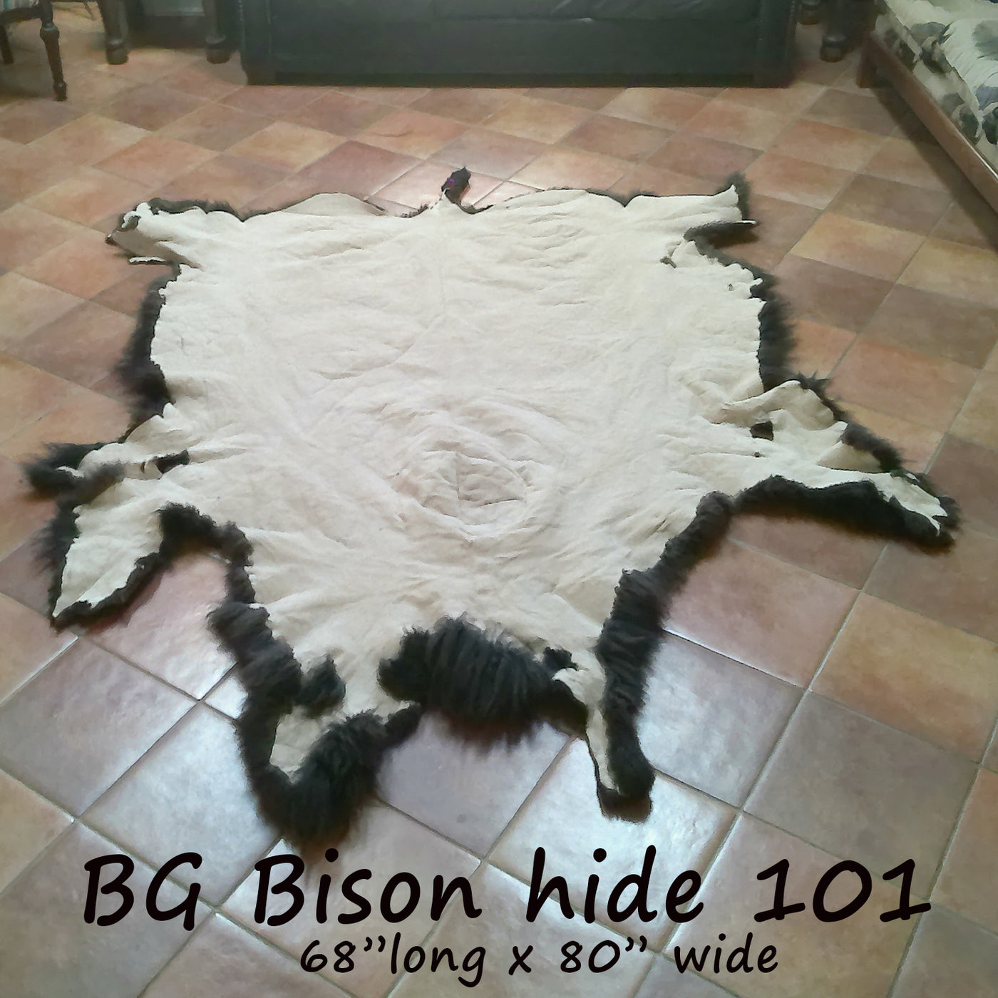 Bison (Buffalo) Hide / Robes