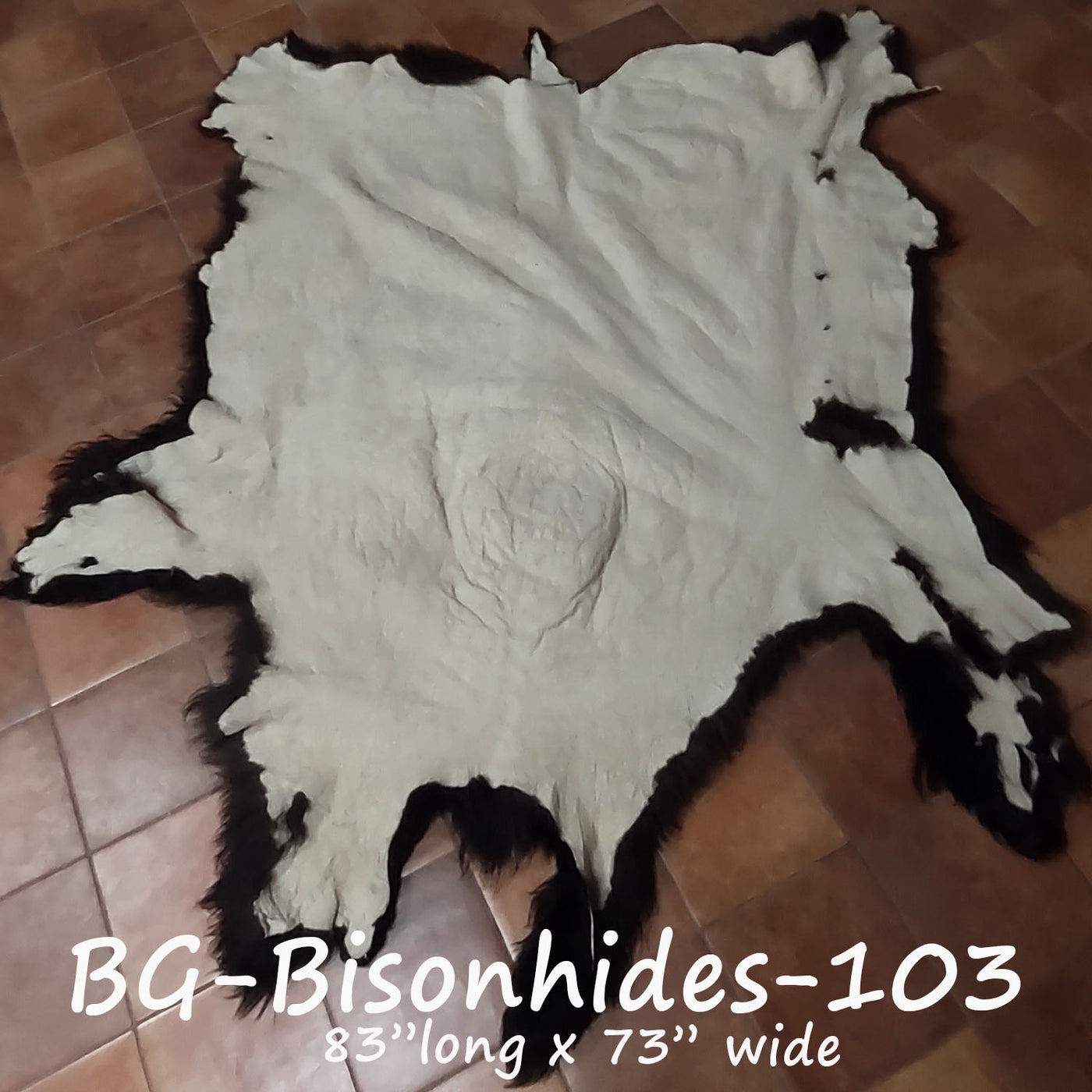 Bison (Buffalo) Hide / Robes