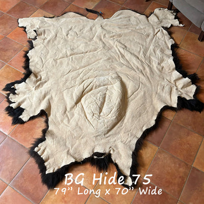 Bison (Buffalo) Hide / Robes