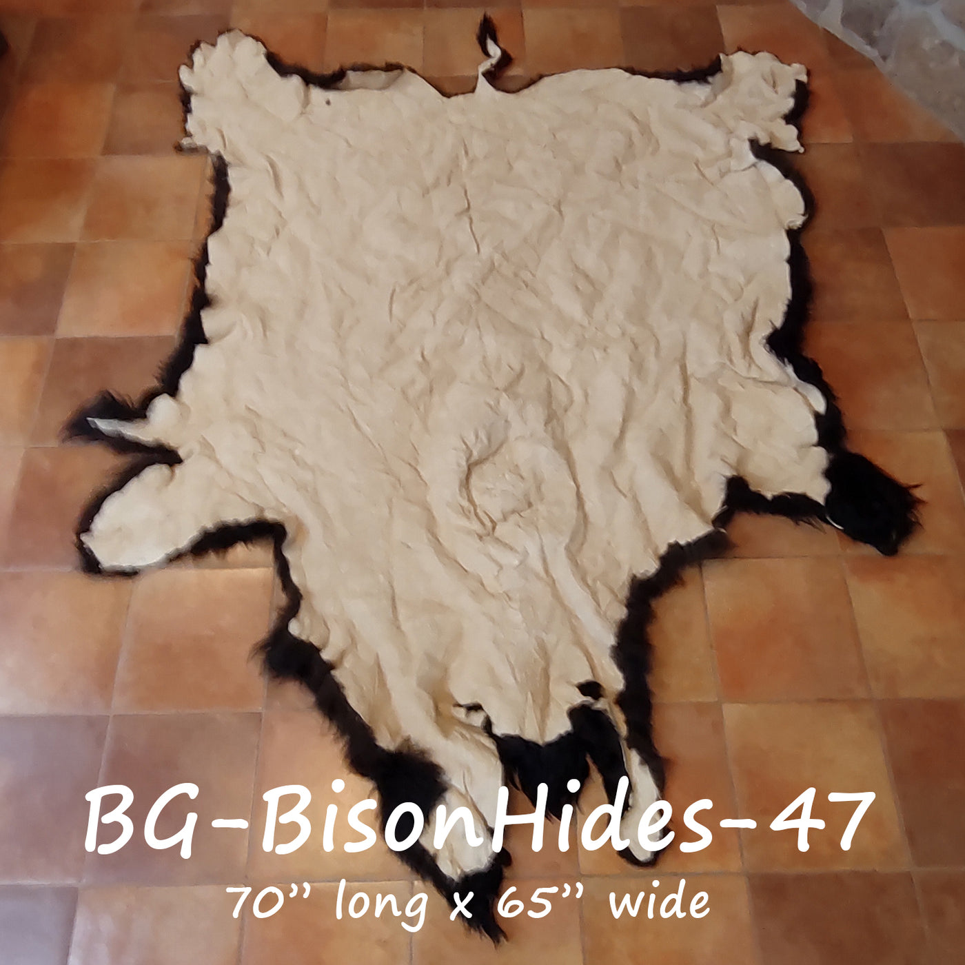 Bison (Buffalo) Hide / Robes