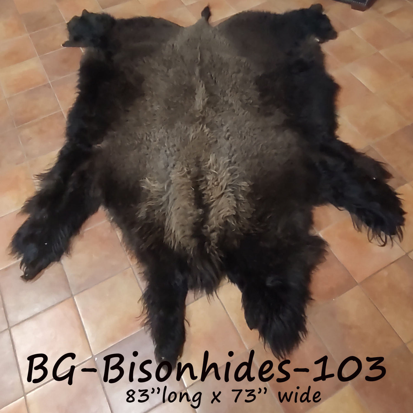 Bison (Buffalo) Hide / Robes