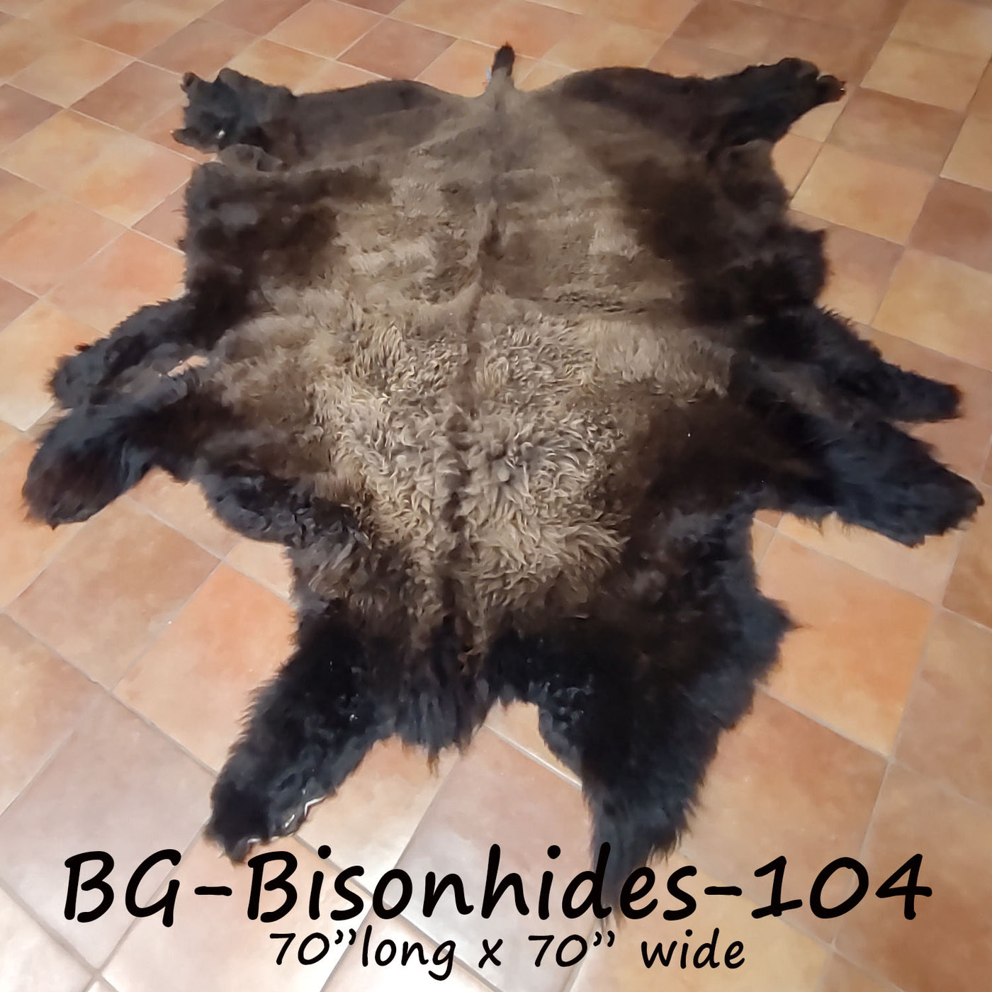 Bison (Buffalo) Hide / Robes