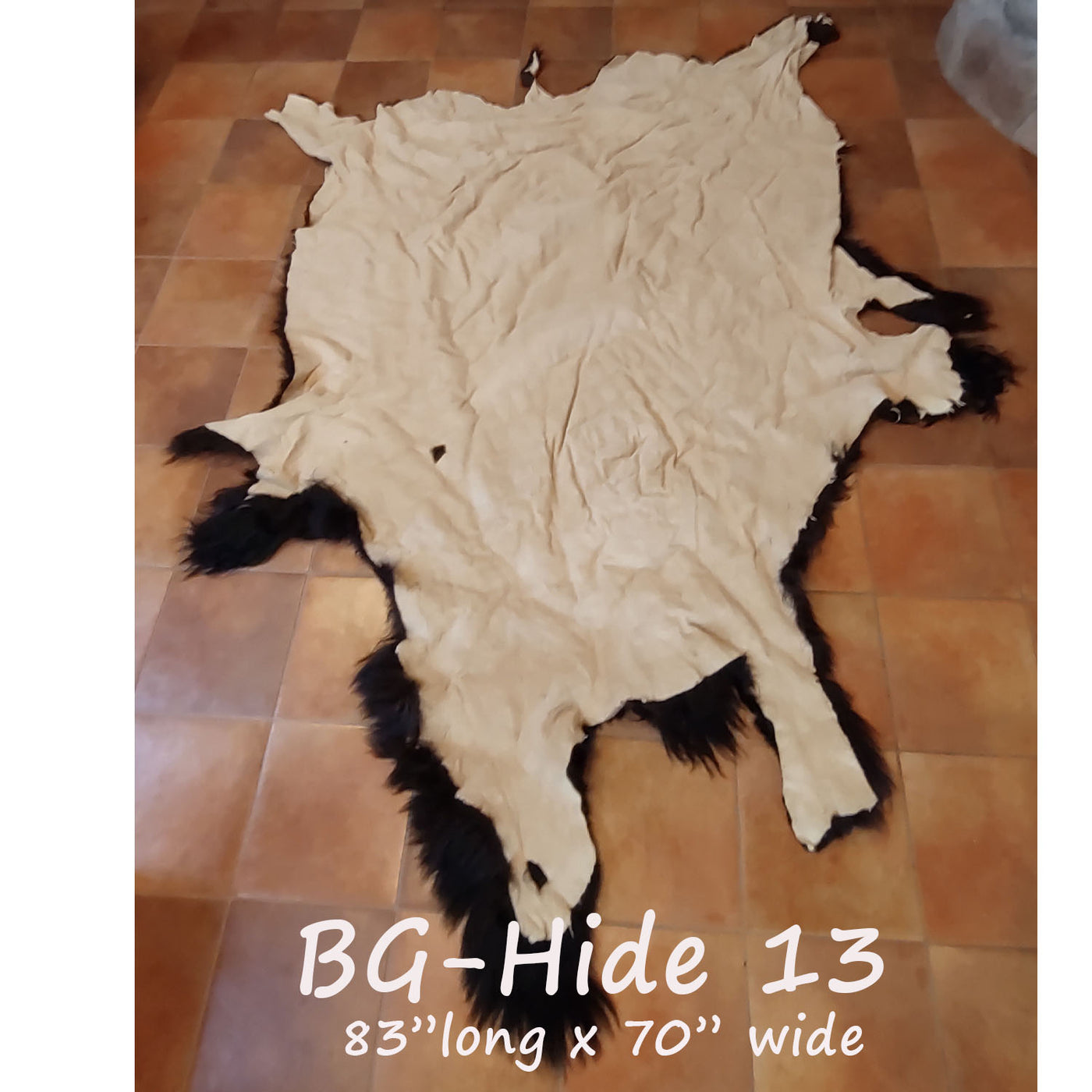 Bison (Buffalo) Hide / Robes