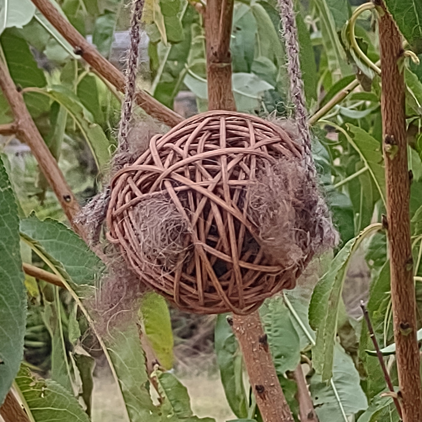 Bison Nesting Fiber for Birds