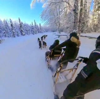 Amazing Alaska Dog sledding, Snow mobile, Ice fishing, Iditarod ADVENTURE with BWC