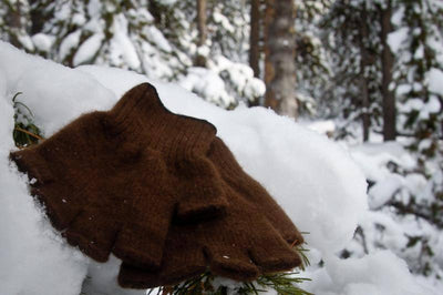 Extreme Gear Bison Down Fingerless Gloves (Brown or Black) Bison Gear The Buffalo Wool Co. 