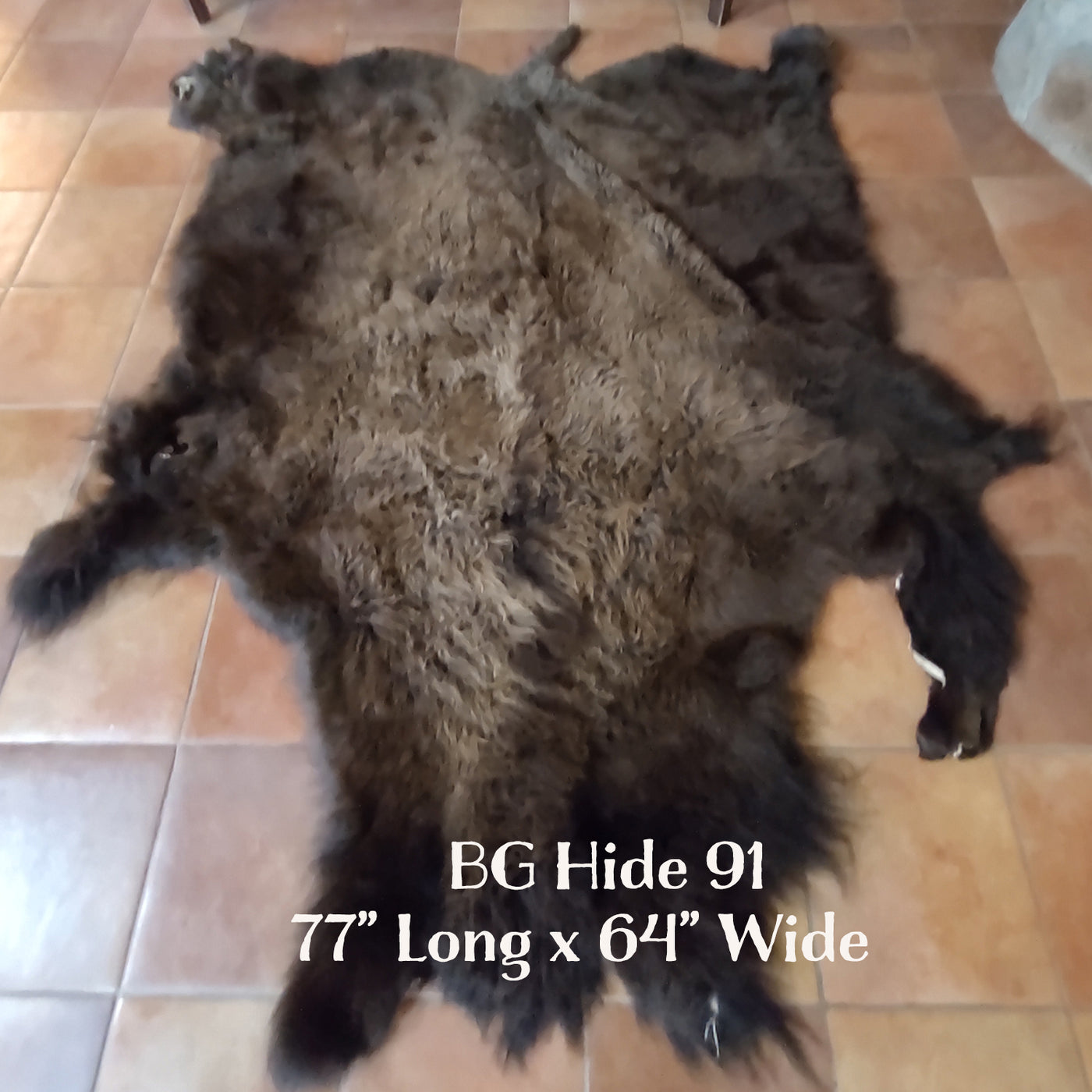 Bison (Buffalo) Hide / Robes