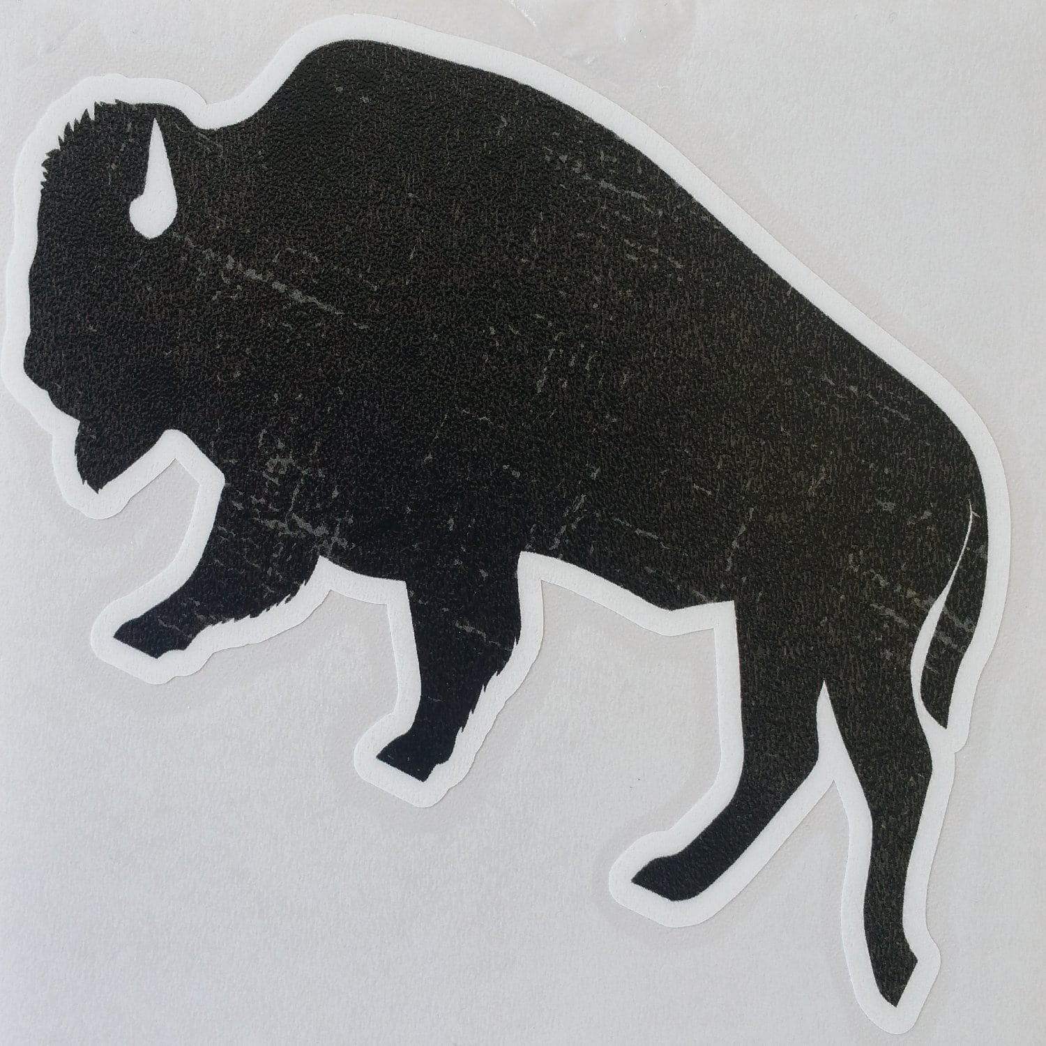 Buffel Sticker Bison